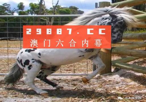 澳门正版资料全年免费看啊|精选解释解析落实